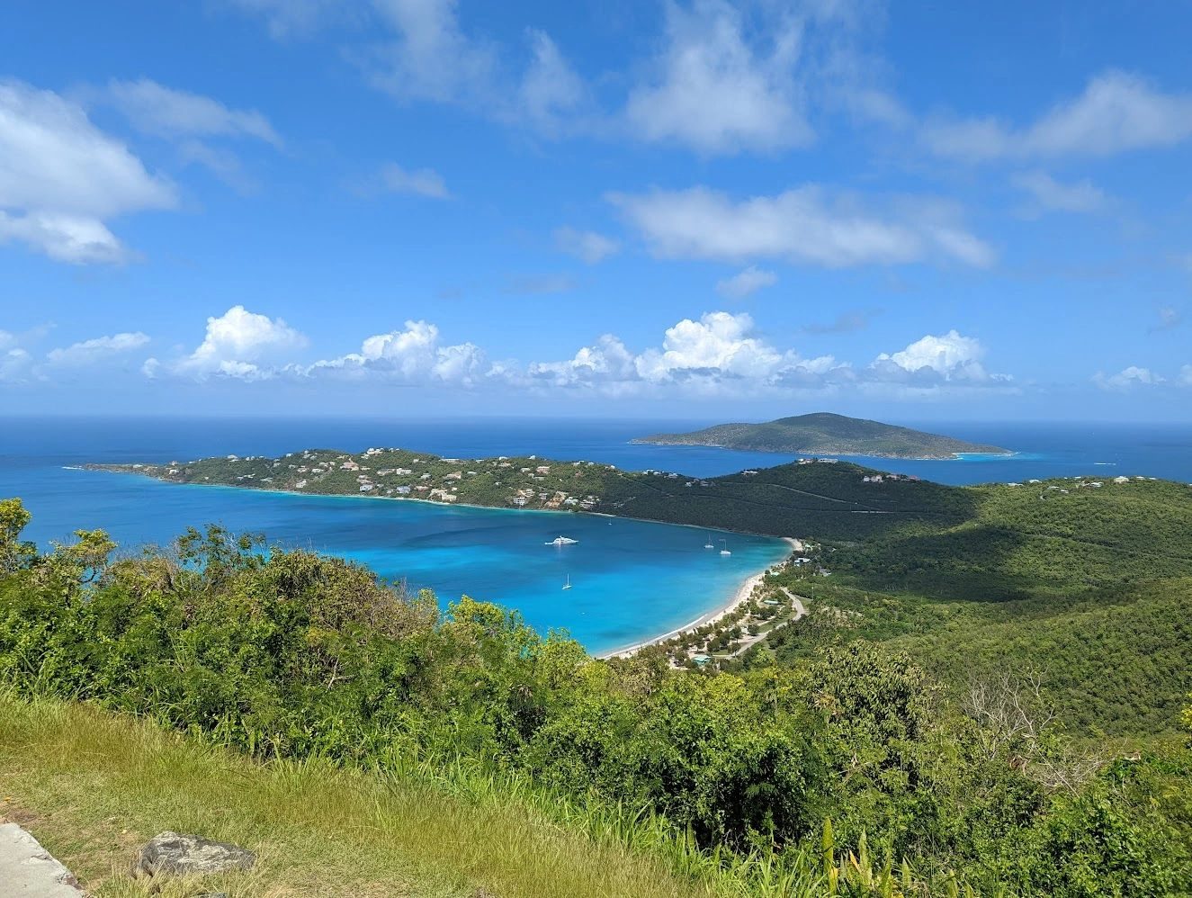 The Theme Cruise Is a Different Animal and You Should Know Before You Book